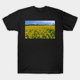 Rapeseed field T-Shirt